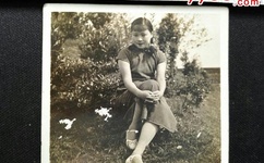 义姐镜里片微博数字车